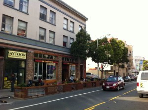 2013 Valencia Street: Trees Photo 2013 Gregory Kerwin